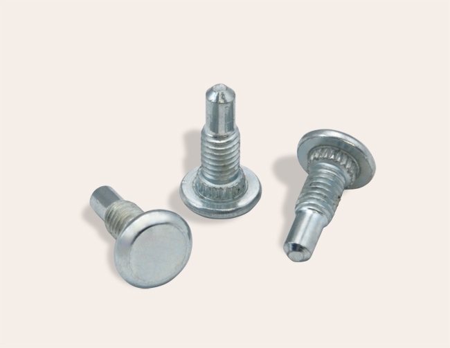 Screw with chamfer and point