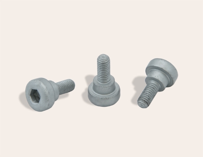 Collar screw coated with Delta Protekt
