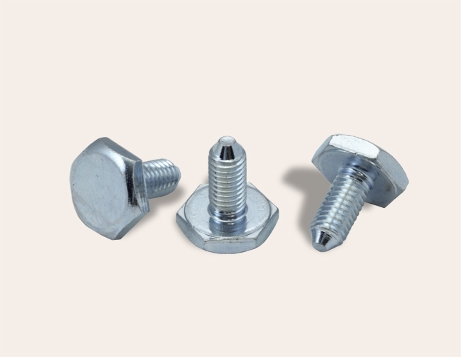 Special screw for household appliances industry