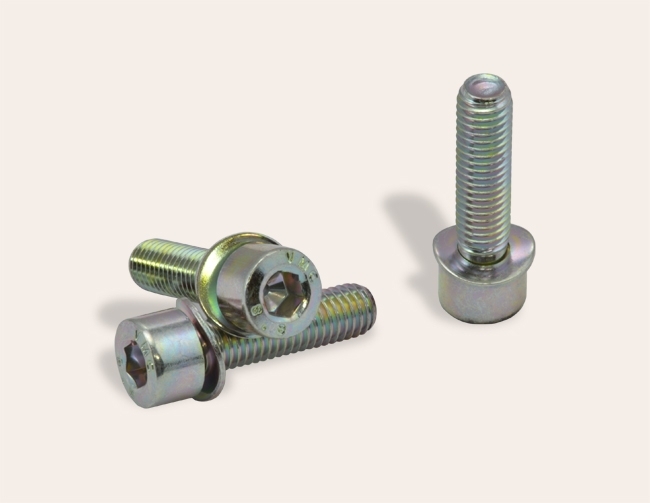 Screw with preassembled spring washer