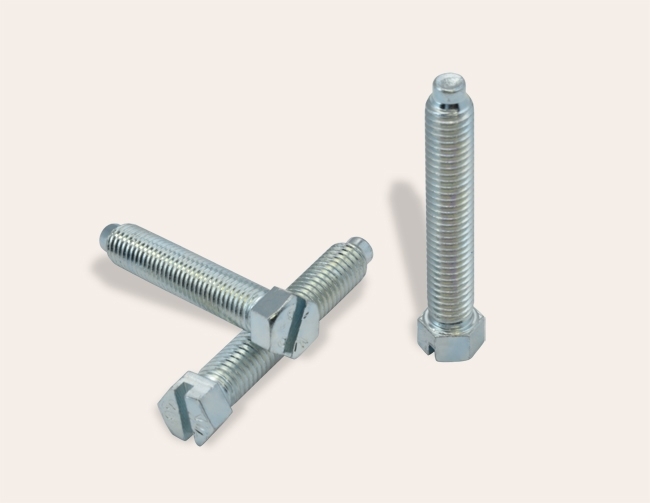Special screw with hexagonal head and slot
