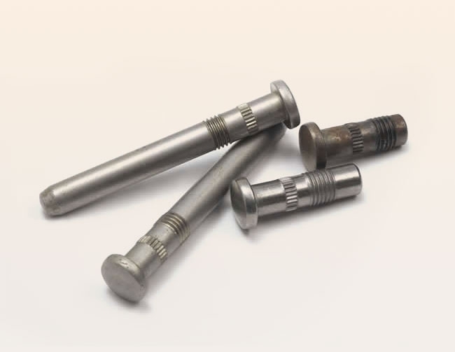 Double radial axial knurled pivots radius point carbonitrided