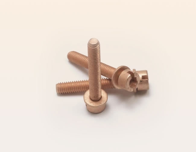 Screw in stainless steel and copper plated with socket and slot and unloosable washer