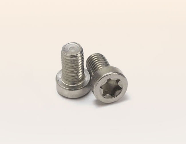 Stainless steel cap screw with 6 lobe recess
