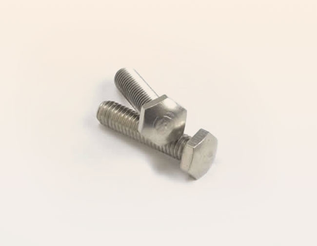 Stainlees steel hexagon and curved head screw with hexagon and curved head