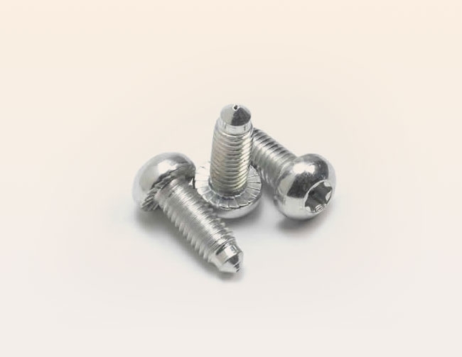 Button head 6 lobe screw with chamfer and point zinc plated and sealing