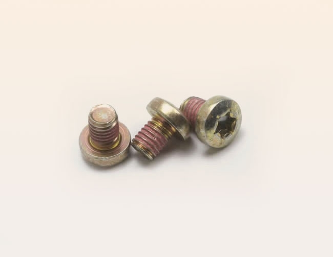 Socket button head screw in stainless steel and blocking coating