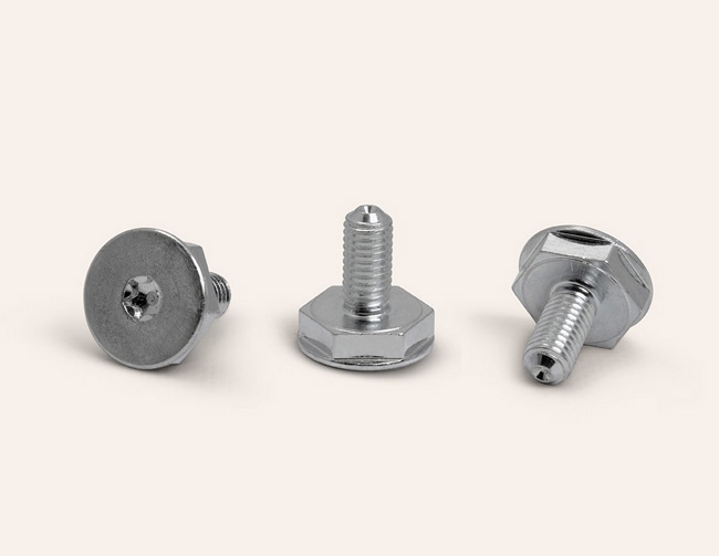 Adjustable screw for home appliance