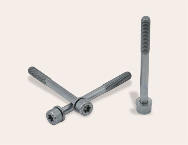 Vite inox con rondella preassemblata