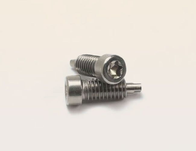 Vite speciale di regolazione inox testa cilindrica impronta esalobata